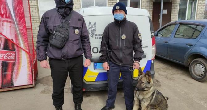 Полиция провела зачистку Новопскова. Обнаружен труп 17-летнего парня. ФОТО