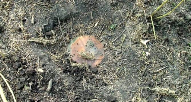 Мирный житель подорвался на боеприпасе на берегу Северского Донецка