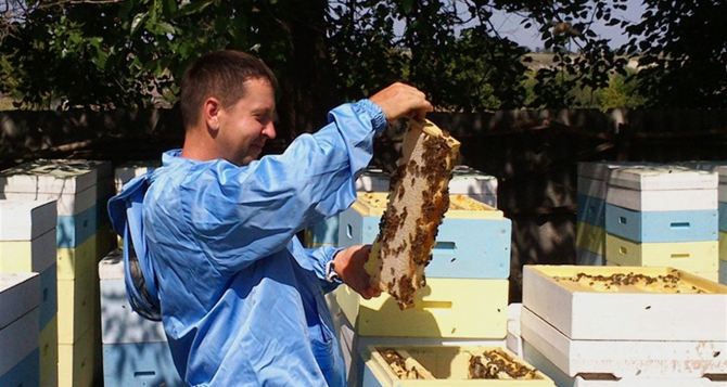 ЛОГА обеспечит пчёлам «рабочие места»