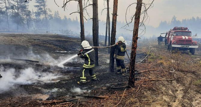 Высокий риск пожаров в Луганской области с 23 июня