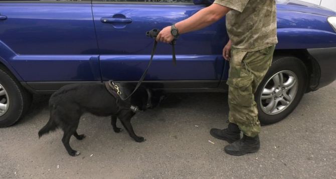 В Луганске ввели усиленное патрулирование и досмотр транспорта