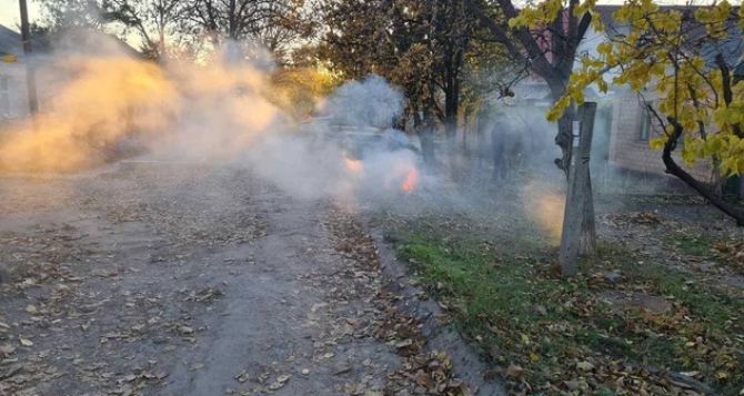 В Луганске штрафуют жителей за сжигание сухой листвы. ФОТО