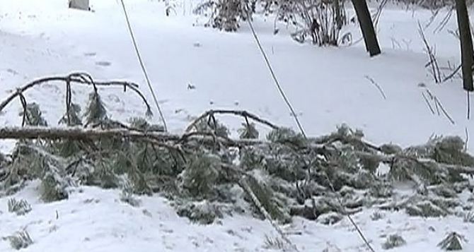 В Луганске из-за последствий снегопада 13 тыс жителей сидят без света