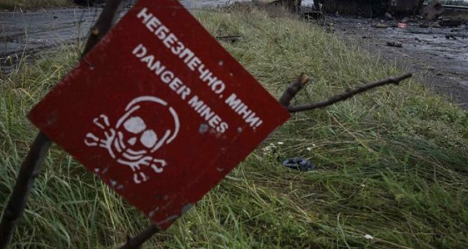 За год почти 90 мирных жителей подорвались на противопехотных минах в Луганской области
