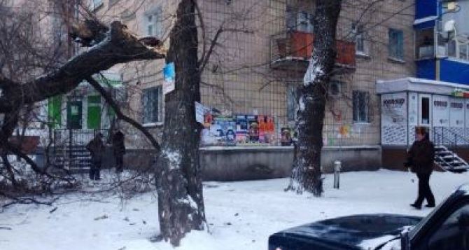 Внимание. Завтра в Луганске с утра сильный ветер. Днем он только усилится