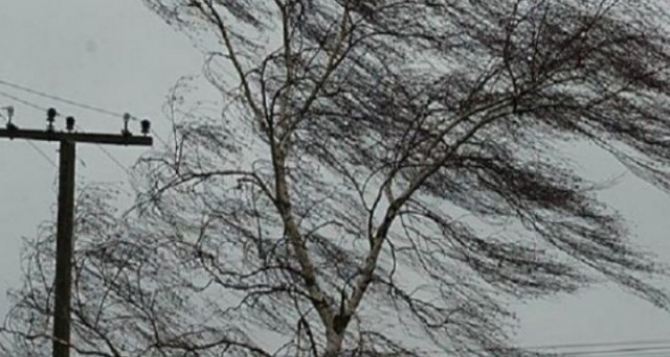 На Луганщине объявлено штормовое предупреждение: сегодня днем усиление ветра до 20 метров в секунду.