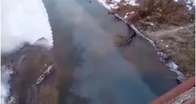Река Лугань в Луганске сильно загрязнена неизвестным маслянистым веществом. ВИДЕО