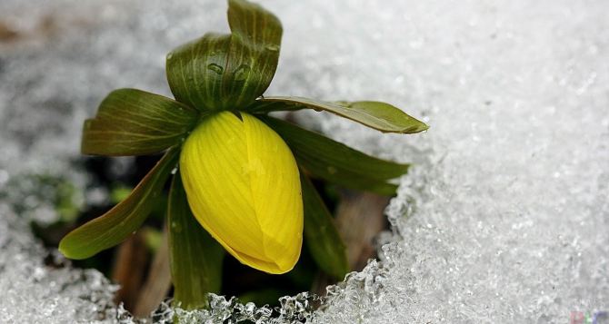 Весна начнется внезапно: синоптики удивили прогнозом погоды на март