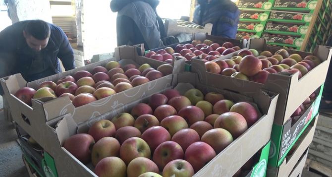 В Луганск привезли продукты питания, в том числе фрукты. ФОТО