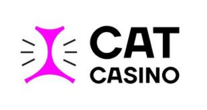 cat casino И эффект Чака Норриса