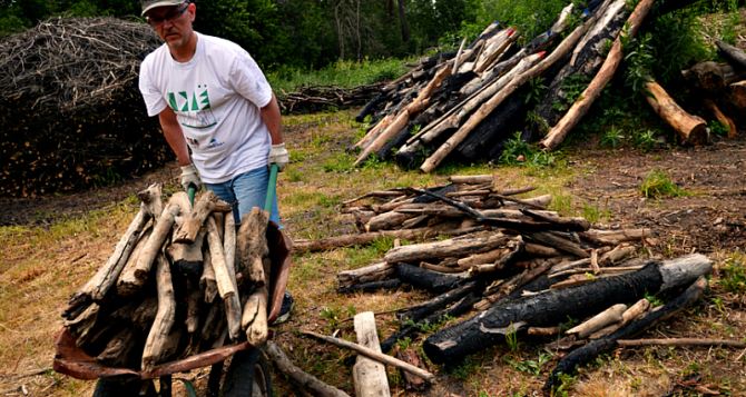 Чиновники призывают жителей Украины запасаться дровами
