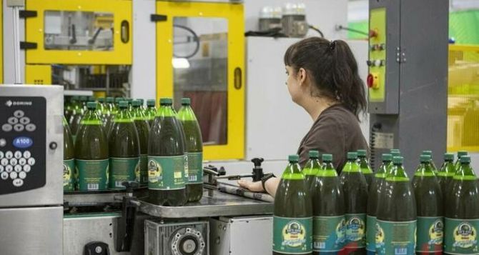 Новый сорт пшеничного пива начал выпускать Луганский пивоваренный завод. ФОТО + дегустация