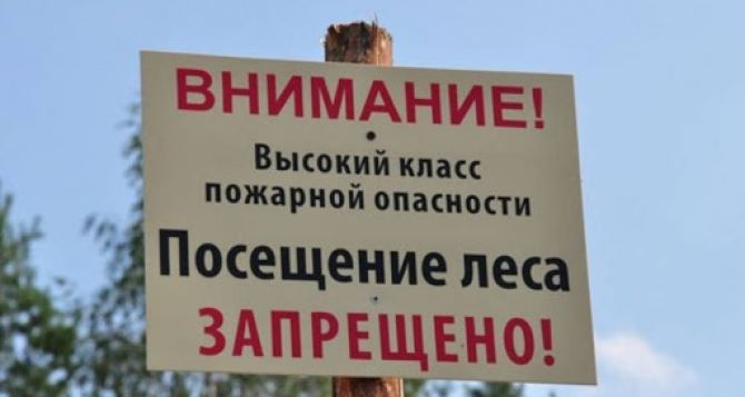 На Луганщине почти на месяц ввели запрет посещать леса