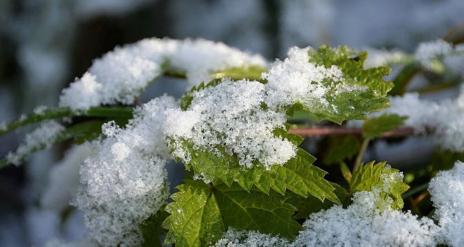 Завтра на Украину выпадет первый снег. Ожидаются сильный ветер, дожди и грозы