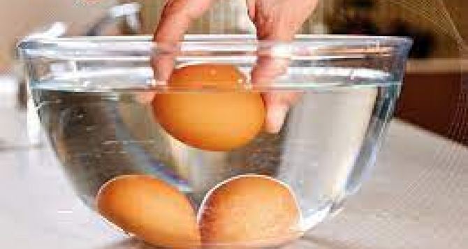 Зачем опытные хозяйки протирают куриные яйца растительным маслом: Сколько реально могут храниться яйца