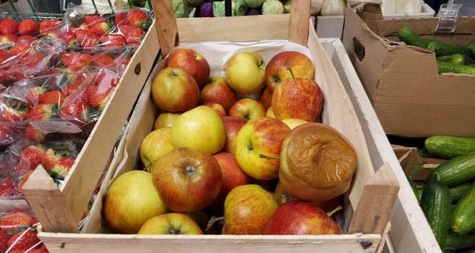 Цена на яблоки снизилась на 19% за неделю. Но продают одну гниль