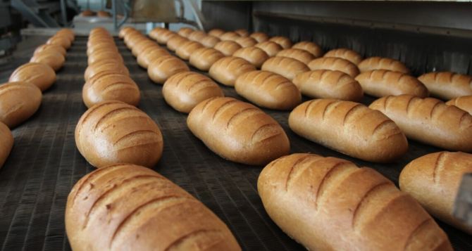 Грозит ли Украине дефицит хлеба