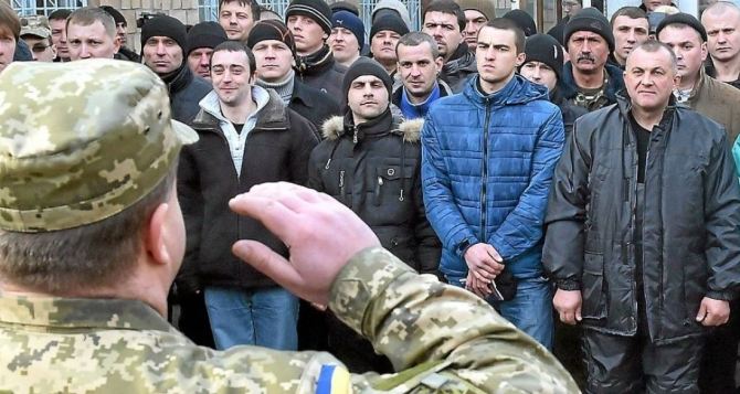 Украинские предприниматели просят Шмыгаля отложить мобилизацию на месяц