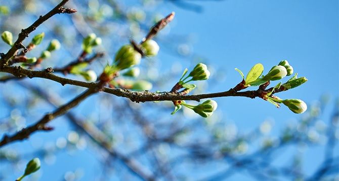 Весна, с каждым днем все теплее: прогноз погоды на 20 марта