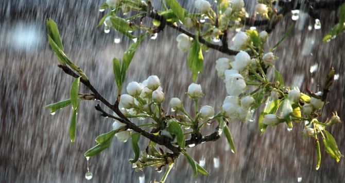 В Украине ожидаются небольшие дожди: прогноз погоды на 21 марта