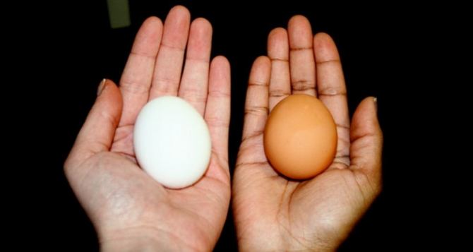 Какие яйца вкуснее — коричневые или белые. Ответ вас удивит