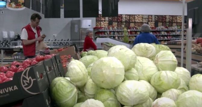 В Украине обвал цен на капусту нового урожая: на 14% дешевле, чем в прошлом году