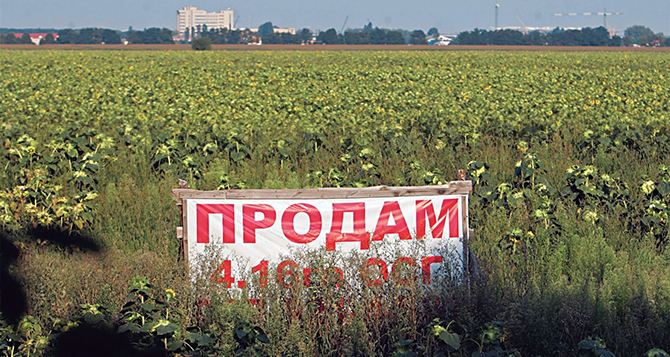 Цены на землю в Украине растут: названы регионы с самыми дорогими участками