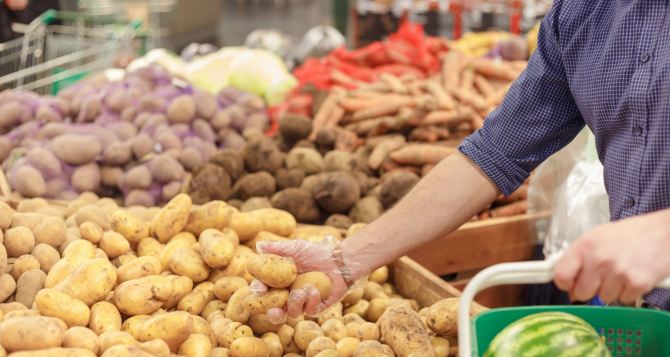 Цены на тепличные помидоры и молодой картофель снижаются в Украине: какие текущие цены на овощи