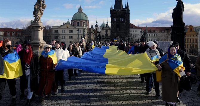 Зеленского призывают разобраться с украинскими беженцами в Чехии