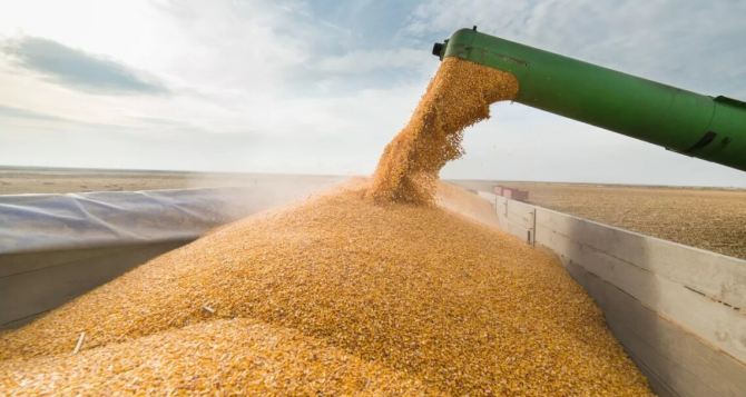 Польские аграрии могут не бояться украинского зерна
