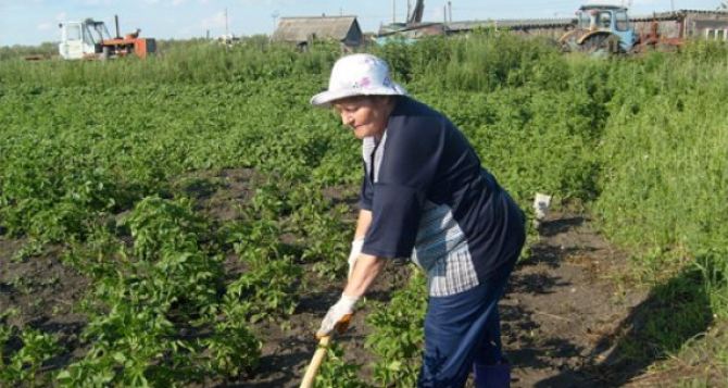 Украинские пенсионеры будут платить налог на огород. Правда есть исключения.