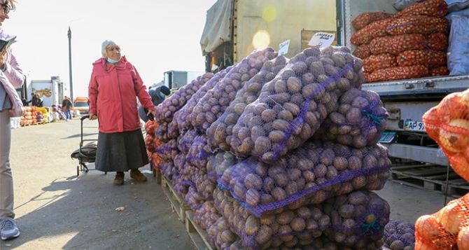 Цены на продукты осенью к чему готовиться простым украинцам