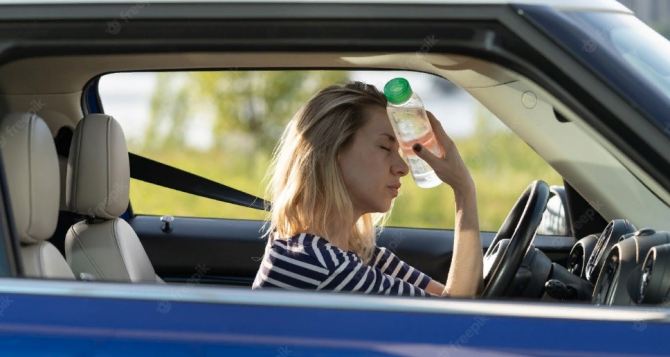 Должен знать каждый водитель: как безопасно управлять авто в летнюю жару — важные советы