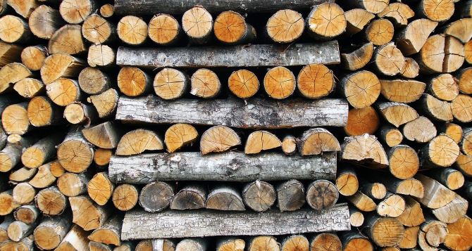 Зима и отключения электроэнергии на носу: сколько сейчас стоят дрова