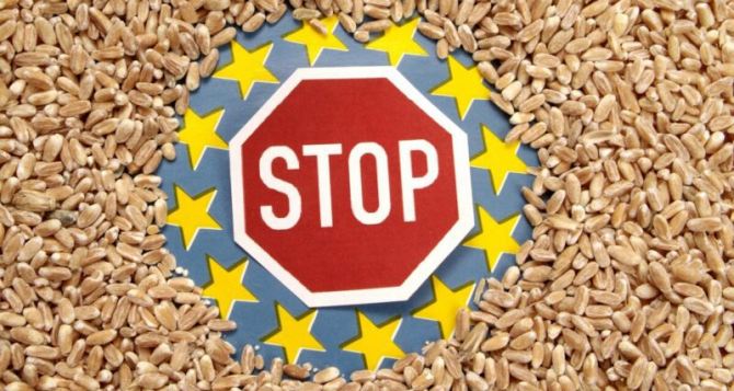 Три страны Евросоюза продлили эмбарго на украинское зерно несмотря на решение Брюсселя