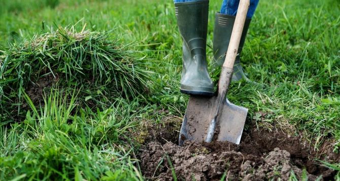 Нужно ли осенью перекапывать землю на огороде и в саду: в острейшем споре поставлена жирная точка