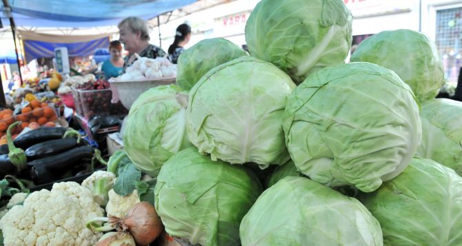Наконец-то наедимся, думали не дождёмся: в Украине упали цены на важный овощ для борща