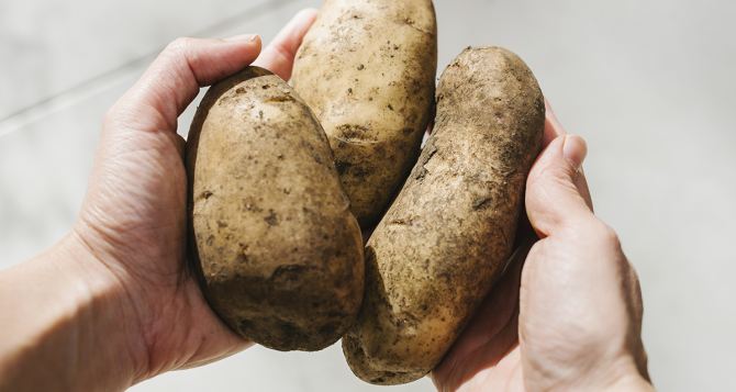 Холодильник как способ спасения подмёрзшего картофеля