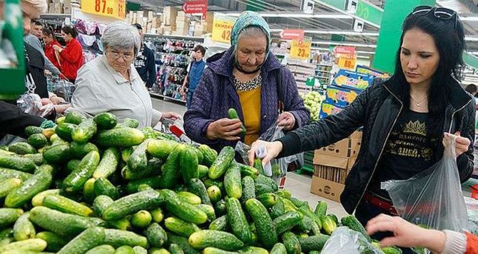 Похрустели и хватит: в Украине резко выросли цены на огурцы