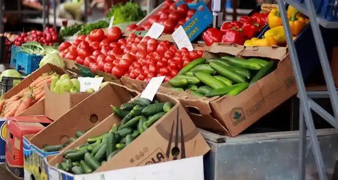 Прежних цен больше нет: в Украине подешевел самый ходовой овощ