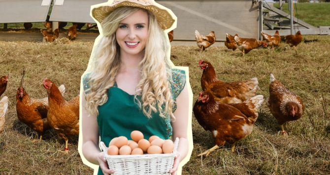 Белок куриного яйца: чем полезен и кому его вообще нельзя