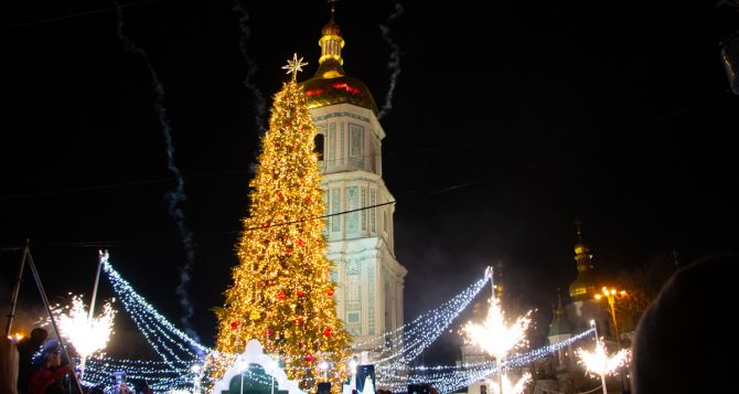 Главную елку Украины установят на Софийской площади: будут ли массовые мероприятия, ярмарки?