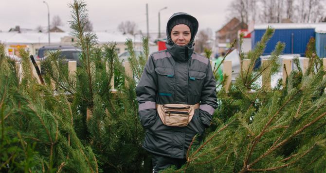 За один метр будете платить 135 гривен: цены на елки в Украине — сколько будет стоить новогоднее настроение