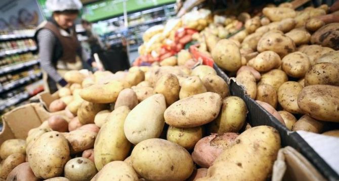 Популярный борщевой овощ взлетел в цене: украинцам придется больше платить за «второй хлеб»
