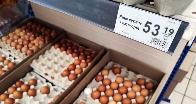 В Украине яйца станут золотыми: популярный продукт будет дорожать