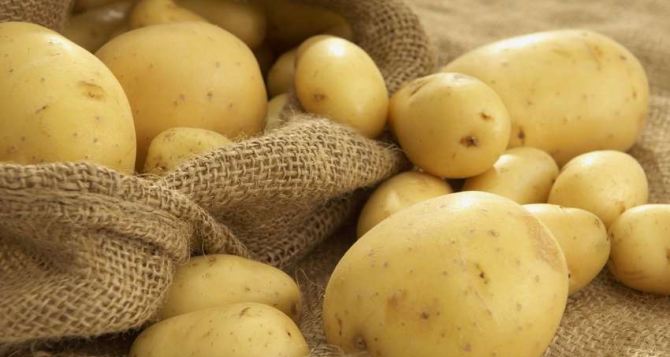 В Украине картофель подорожал в 2,5 раза и цена продолжает расти. Что происходит