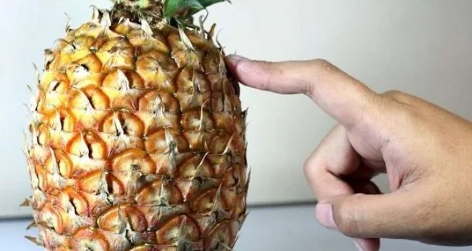 Как правильно выбрать спелый, сочный ананас, и чем он полезен для организма?
