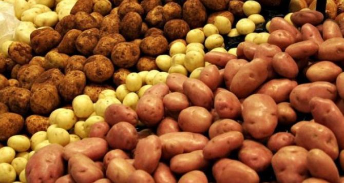 За несколько дней картошка стала значительно дороже. Аналитики назвали причину резкого повышения цены