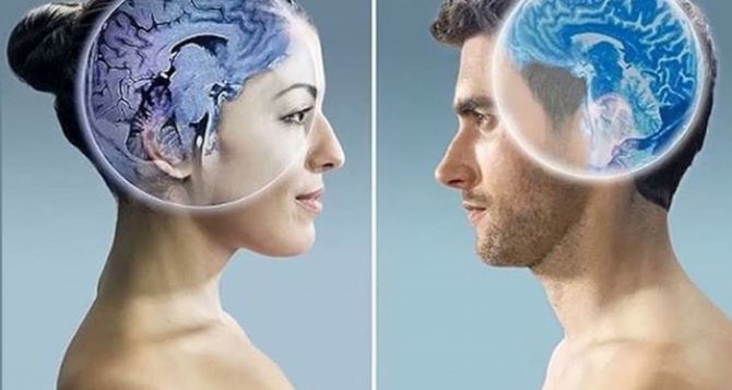 Выяснилось наконец, как отличается женский мозг от мужского. Мужикам лучше не читать