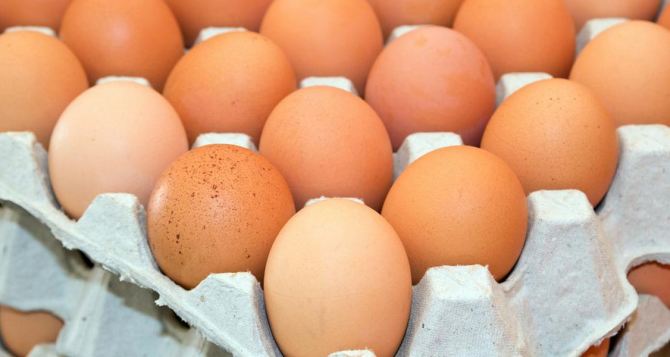 Экспорт яиц в прошлом году принес Украине 60,8 млн. долларов